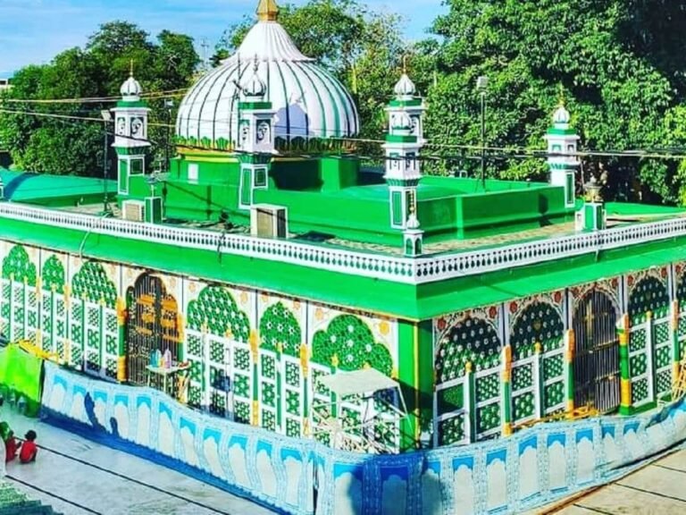 साबिर पाक की चादर पर विवाद! वायरल वीडियो ने उठाए व्यवस्था पर सवाल