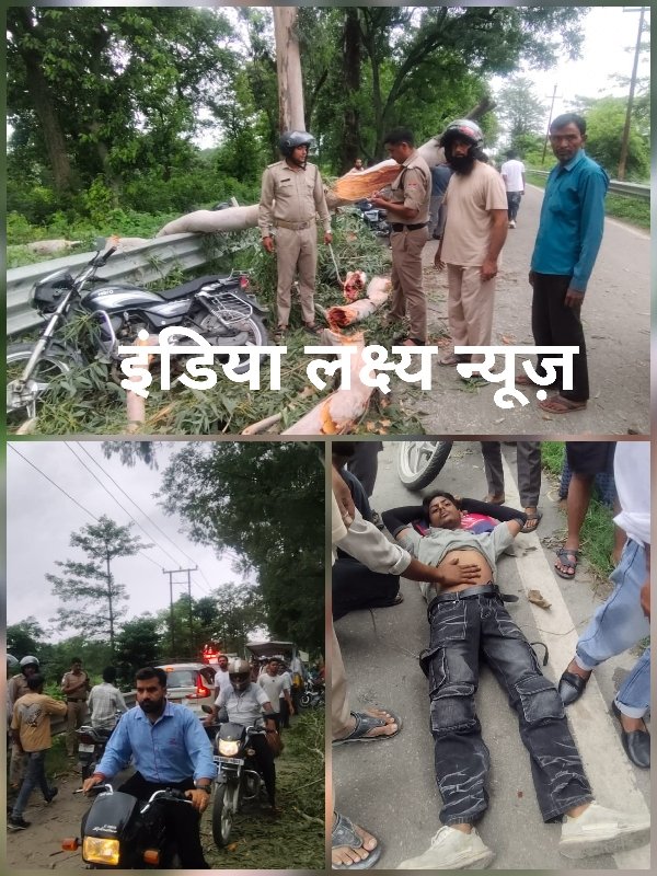 धनौरी रोड पर अचानक हुआ हादसा, चलती बाइक पर गिरा पेड़ का विशाल टहना, दो युवक गंभीर घायल