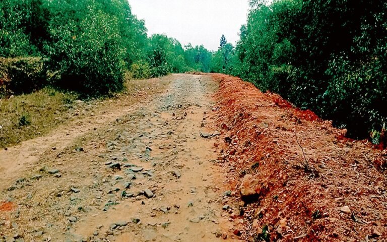फाइलों में पूरी, जमीन पर अधूरी निकली विधायक निधि की सड़क