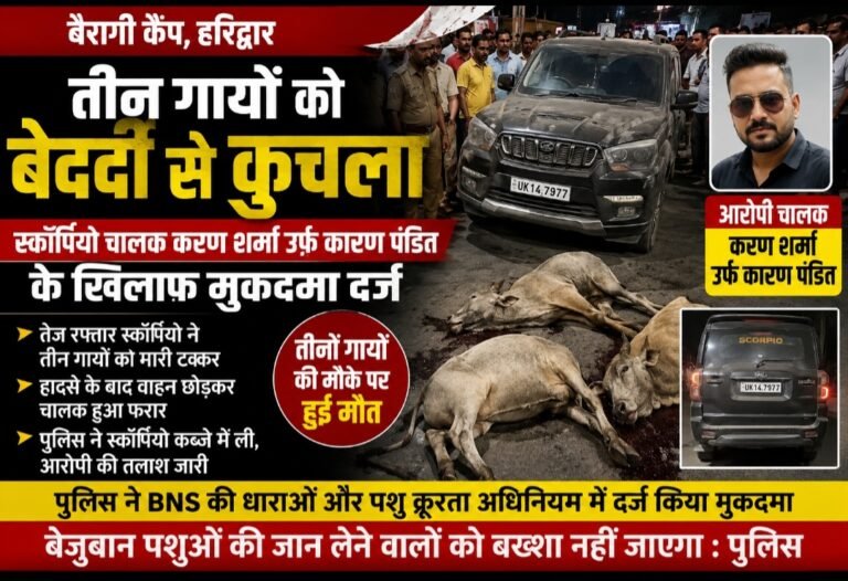 तीन गायों की मौत के मामले में करण शर्मा उर्फ करण पंडित पर मुकदमा