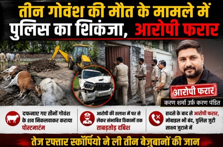तीन गोवंश की मौत के मामले में पुलिस का शिकंजा, आरोपी की तलाश में ताबड़तोड़ दबिश